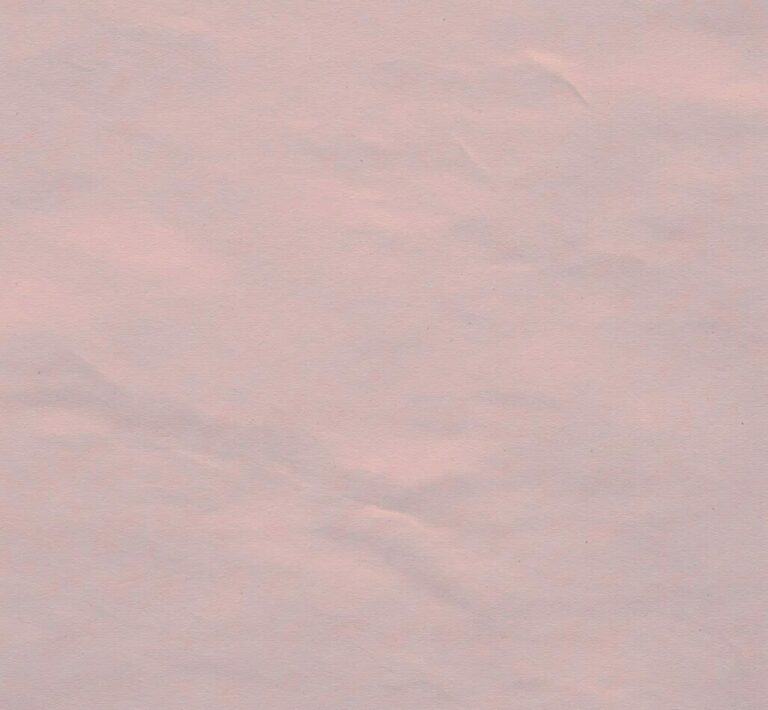 Der rosa Fleck und Russlands toxische Mythen – ein Briefwechsel